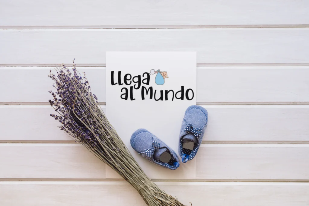 Diseño Logotipo web de nacimiento en León